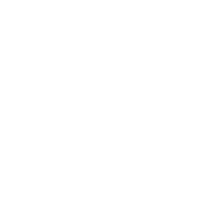 swordacrazy-logo-white
